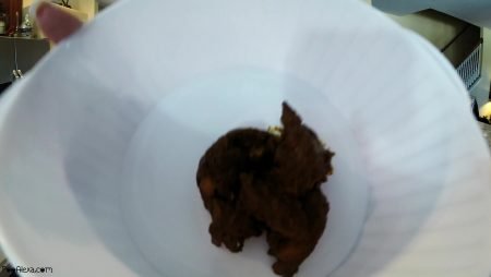 Poo_Alexa_12.mp4.00001.jpg Poo_Alexa_12.mp4.00001.jpg