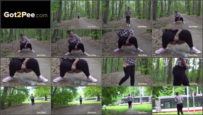 Puddle-On-The-Path_1080P.ScrinList