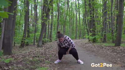 Puddle-On-The-Path_1080P 00000