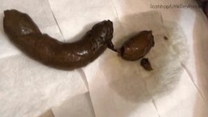 Long smooth thick morning poop & bonus horny poop 00001
