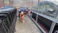 Mega Public in the shopping carts shit and filthy horny 00001 200x113 - Devil Sophie – Mega Public in the shopping carts shit and filthy horny