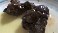 Tegan Brooke - Poop and Pee on my Pizza Plate 00004