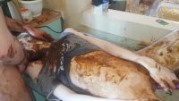 Skinny Red Head Top Amateur Scat And Pee By Top Russian Model Jelena Part 1 00004