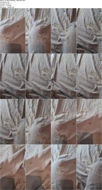 my-dirty-bedsheet_10001244.ScrinList