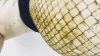Pooping & Smearing in Fishnets 00003