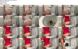Quick shots of shit down the toilet.ScrinList