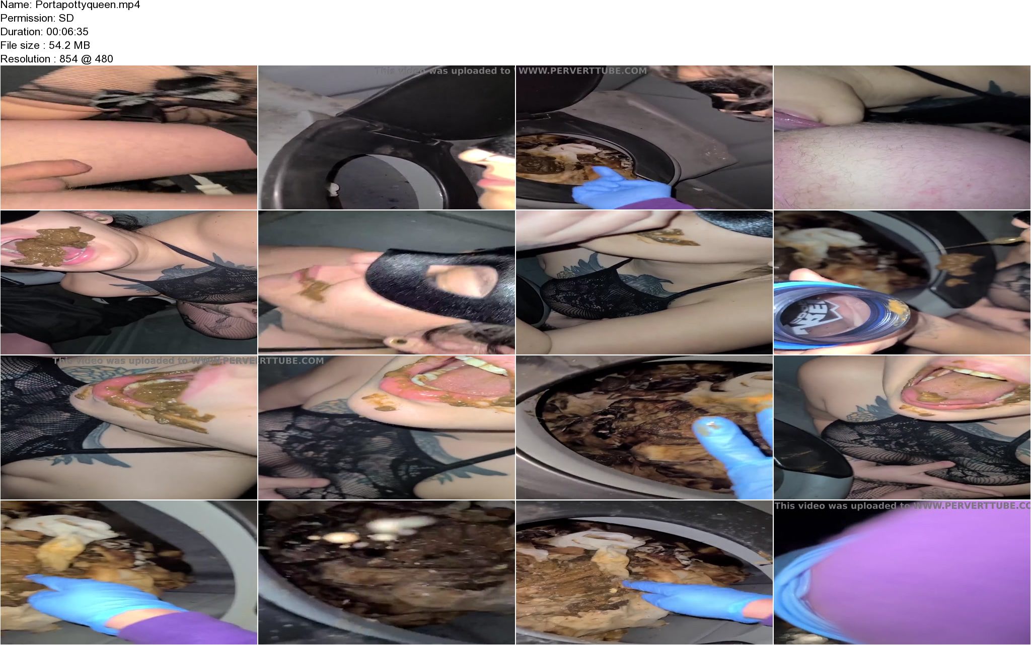 Dubai porta potty video uncensored