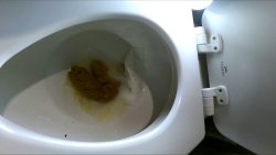 Thick and Healthy W5654645645hile I Dirty Talk You 00000