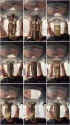 2025-11-09 - 24 Minutes of Daily Toilet Slave Destruction.ScrinList