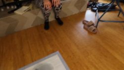 Classy N Gassy – A rare thing but sometimes we poop together 00001 Classy N Gassy – A rare thing but sometimes we poop together 00001