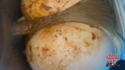 Filthy Japanes6546564566e Girl - Rotten Overload 00002