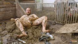 Franky The Pig 00001 Franky The Pig 00001