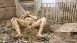 Franky The Pig 00002 Franky The Pig 00002