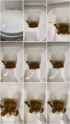 MissAnnaElite (7).ScrinList