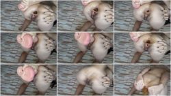 Poopy Gapes.ScrinList Poopy Gapes.ScrinList