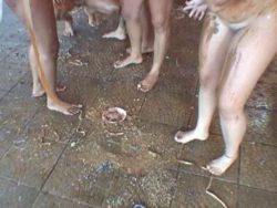 Scat Carnival Fantasies 00002