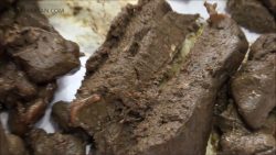 DirtyMaryan – Pooping fo8768867878r Foot Fetish Scat slave 00001