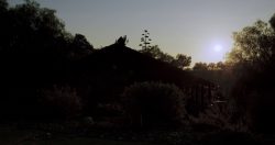 From the Sky He6546464645646ntaied 00000 From the Sky He6546464645646ntaied 00000