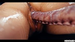 Invasion He5654646546ntaied 00001