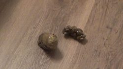 SexyScatForYou - 13 weeks pregnant6757546546546 dancing poop party 00002