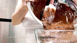 Layla Lee - Layla Bake67567567567s Scat Brownies 00002 Layla Lee - Layla Bake67567567567s Scat Brownies 00002