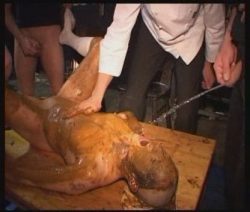 Portrait Extrem 13 00002