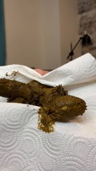 Alice_Top_-_Filling_my_no7665757567se_with_a_stinky_smell 00000