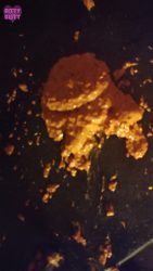 Blooper Pooper pt 2: big explosive shit 657657657547launched over the container 00002