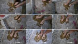 Scatbook the unique social network for scat lovers. (69).ScrinList