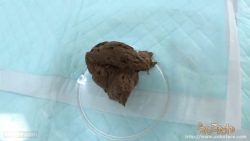 unkotare-564654654646ori10207 00002 unkotare-564654654646ori10207 00002