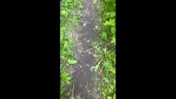 poo and pe65467546475675647e in dacha 00001