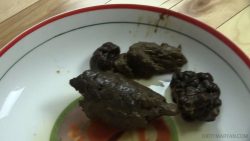 Dirtymaryan20170123mvi0252pooping2timespovepisode5 00000 Dirtymaryan20170123mvi0252pooping2timespovepisode5 00000
