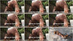 Garden Fertilizer.ScrinList