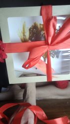 New Year’s gifts are sh67546456546it and vomit 00000 New Year’s gifts are sh67546456546it and vomit 00000