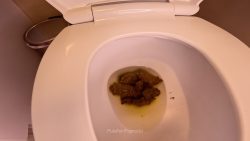 Hover Shit 00002 Hover Shit 00002