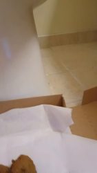 Pizza Box Dine 656756756765And Dump 00002 Pizza Box Dine 656756756765And Dump 00002