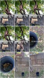 07 - Pulsifer Paprocki - Hanging Tree Poop.ScrinList 07 - Pulsifer Paprocki - Hanging Tree Poop.ScrinList