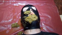 Slave in doggystyle,8777867867876 pooping, in his mouth 00001 Slave in doggystyle,8777867867876 pooping, in his mouth 00001