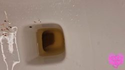 Seductive toilet E76575765757FRO huge log 00002 Seductive toilet E76575765757FRO huge log 00002