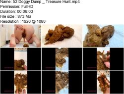 52 Doggy Dump _ Treasure Hunt.ScrinList