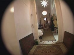 Avantgarde Extreme 43 00000