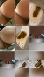 BrownSensation8 - Compilation.Of.Toilet.Shits.ScrinList