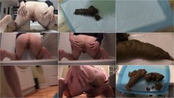 DirtyMaryan___Pooping_3_times_POV_Episode_4.ScrinList