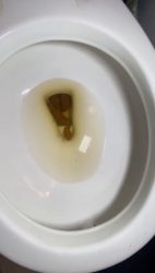 Dirty tampon a6576575675675nd long turd 00001