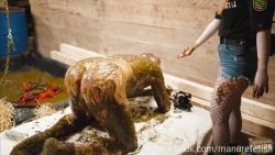 Dung-435345435435345prison 00000