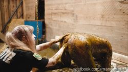 Dung-435345435435345prison 00001