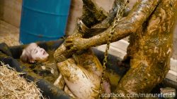 Dung-435345435435345prison 00002