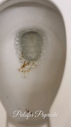 Hobby Lobby 5454545454Shit and Piss 00001