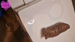 Huge Urgent75675675675 Toilet Lid Log 00001