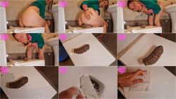 Kitty Skatt - Huge Urgent Toilet Lid Log.ScrinList